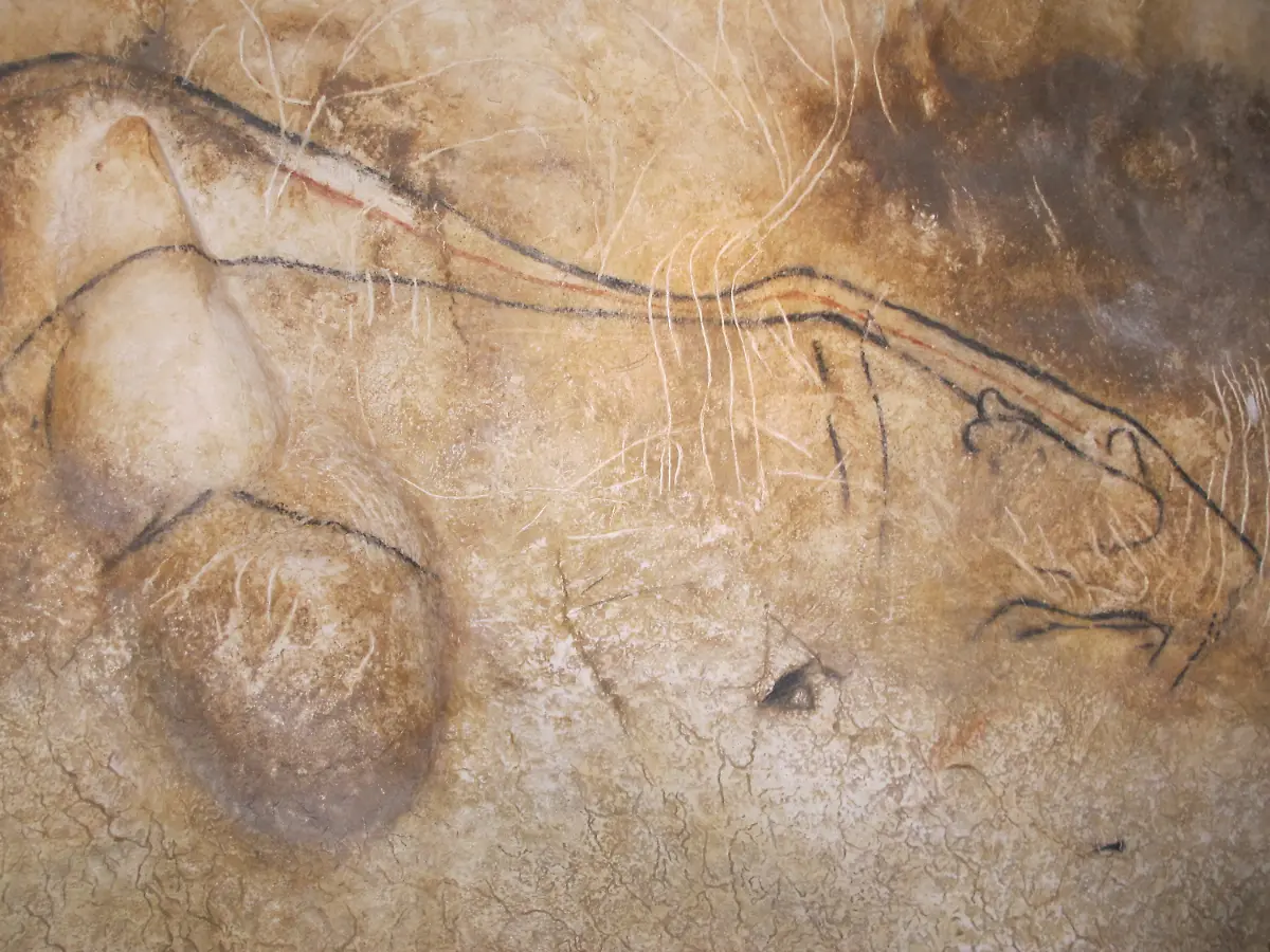 3n013039-jpg8720035758712848207