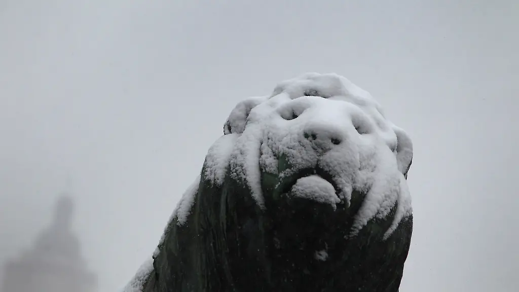 3mt44243-jpg8522456392273589828