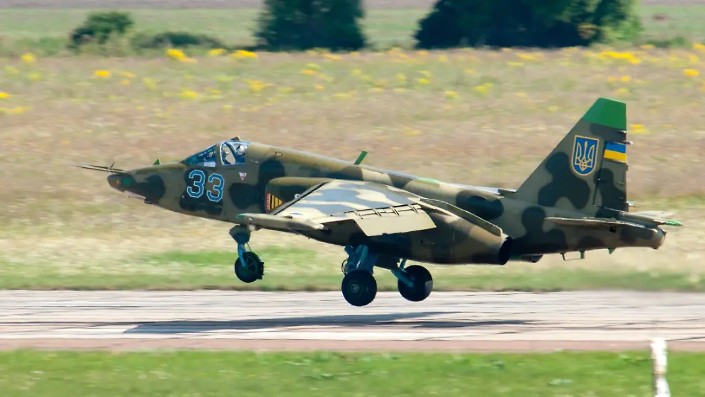 3mqj2602-jpg8222025510757484688