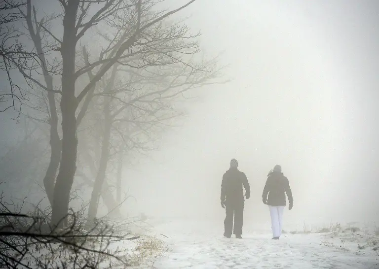 3mp11008-jpg3560676538667544236