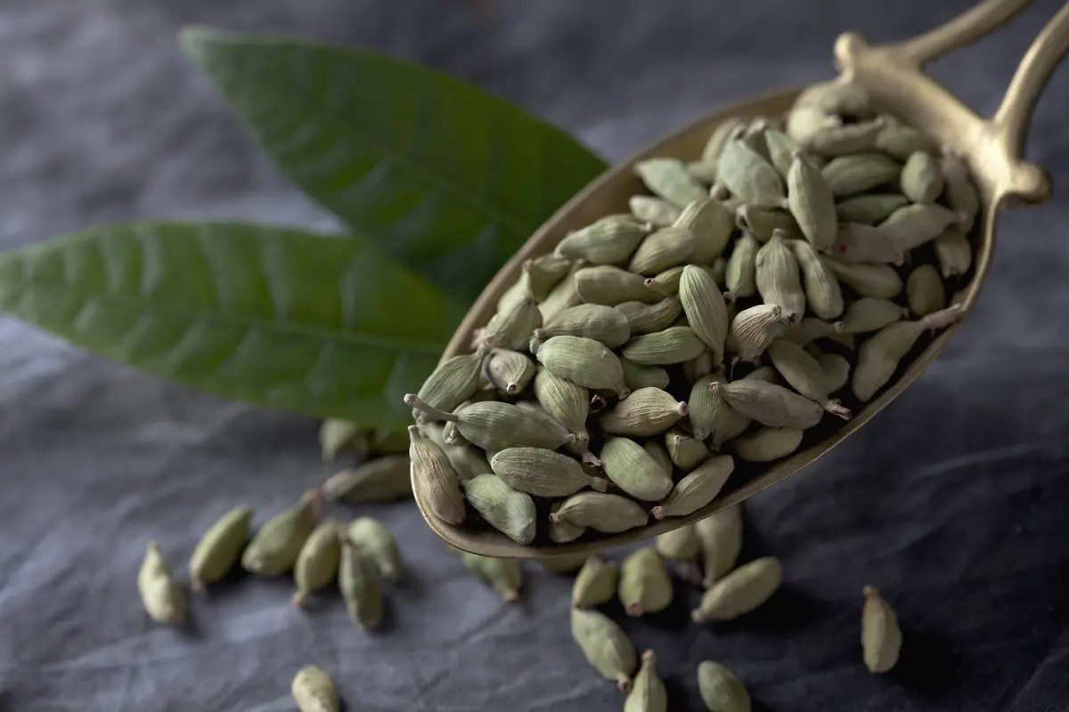 kardamom