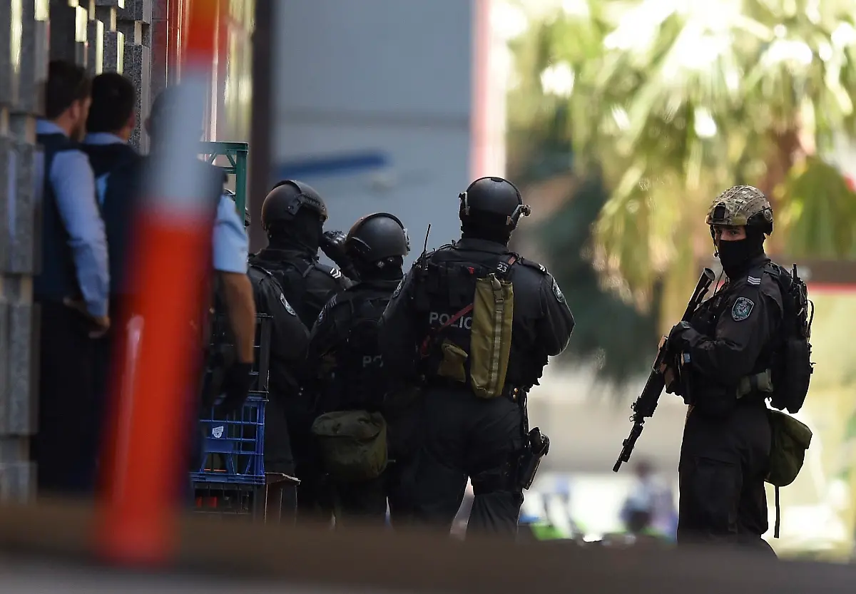 3mkp3441-jpg7661040276164641363