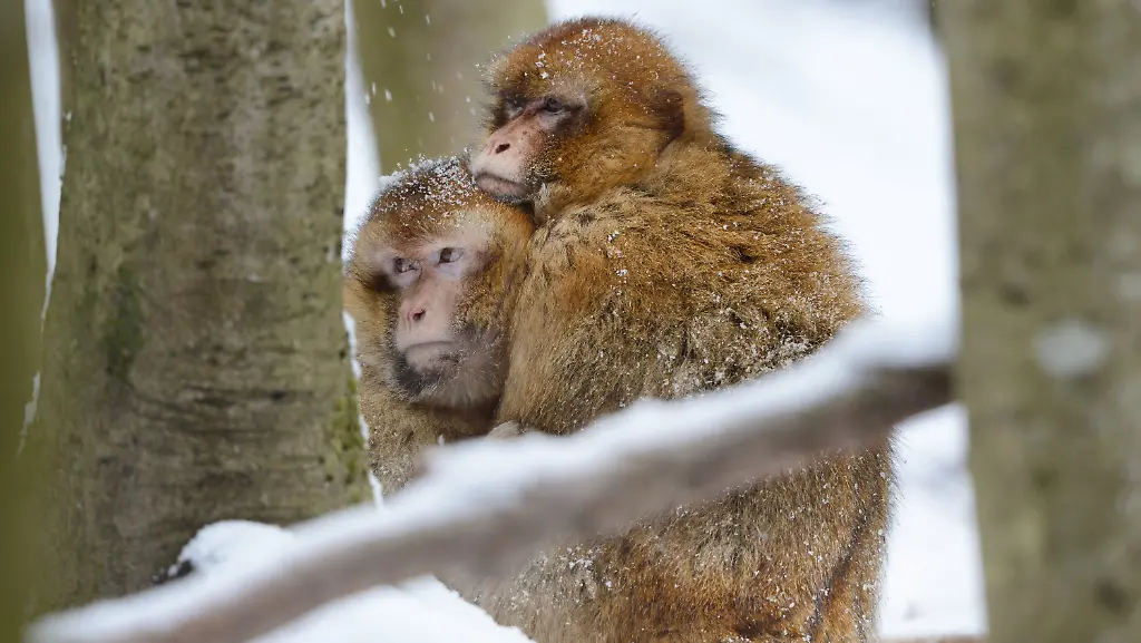 3mg50905-jpg269185292265722834