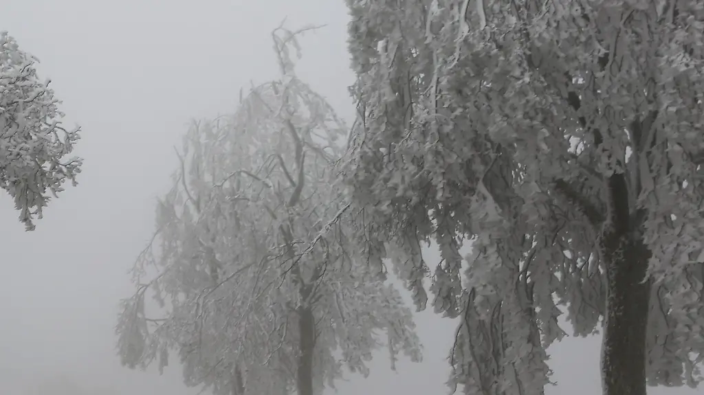 3mbo1312-jpg4189365631411856933