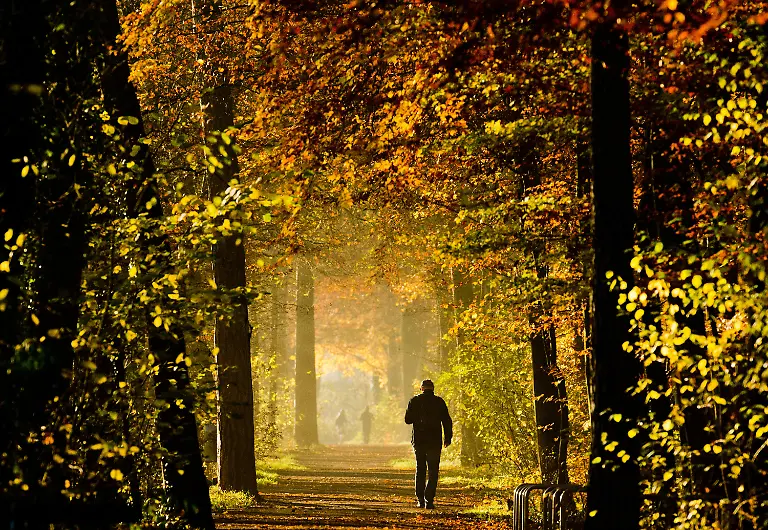 3m860031-jpg3721820469674328226