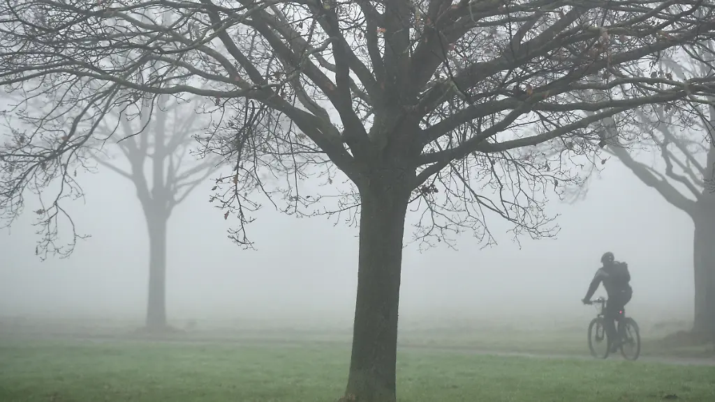 3m6x3252-jpg803320324511861318