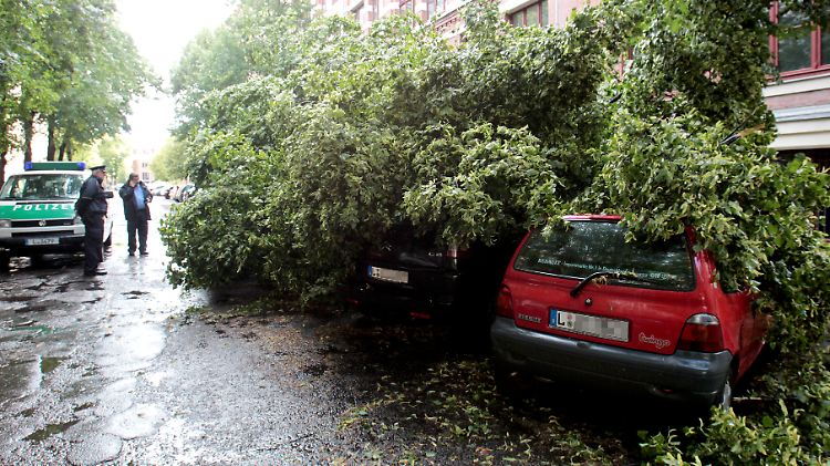 Auch in Leipzig knickte der Wind Bäume um.