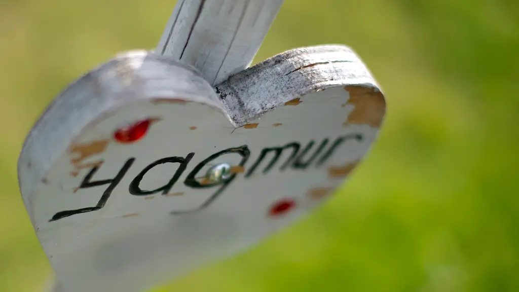 3m1v0036-jpg2069281190651870189