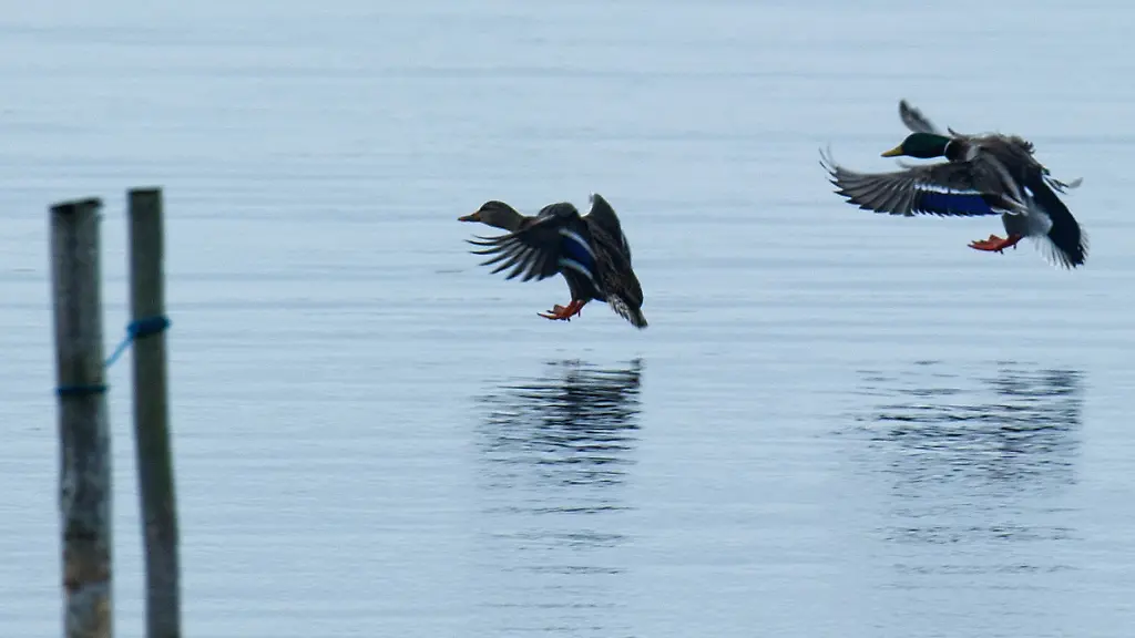 3m5p3444-jpg4886804312508990384