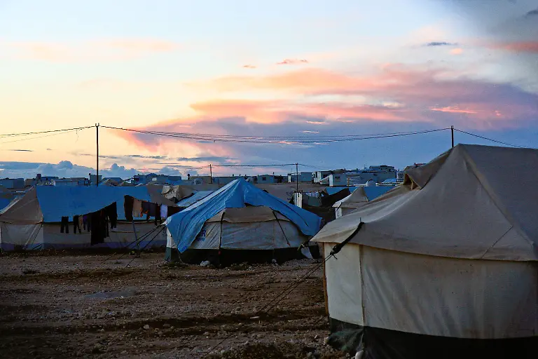 43-Credit-Nora-Schareika