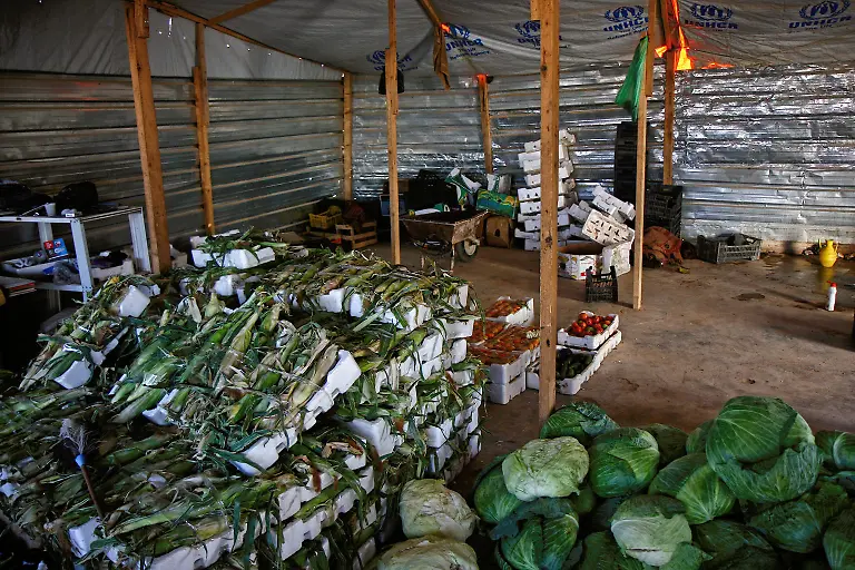 35-Credit-Nora-Schareika