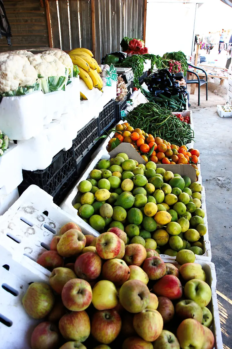 34-Credit-Nora-Schareika