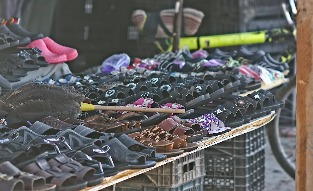 32-Credit-Nora-Schareika