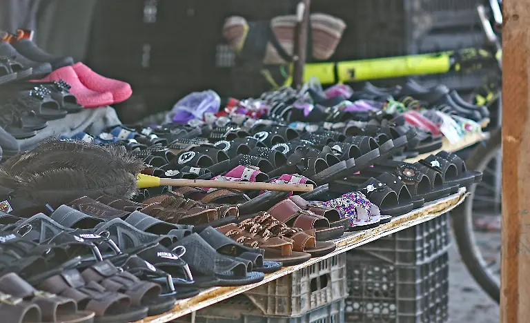 32-Credit-Nora-Schareika