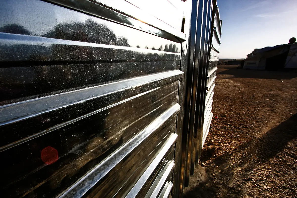 26-Credit-Nora-Schareika