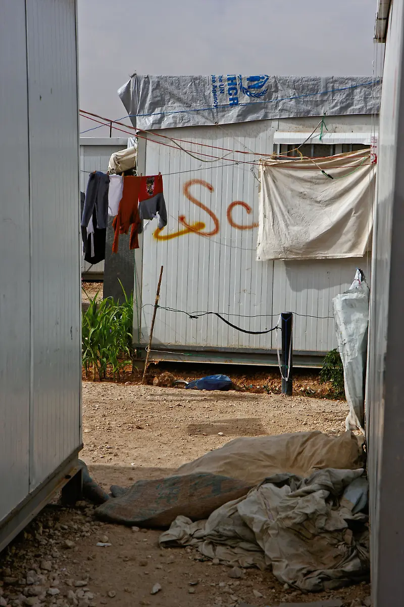 22-Credit-Nora-Schareika