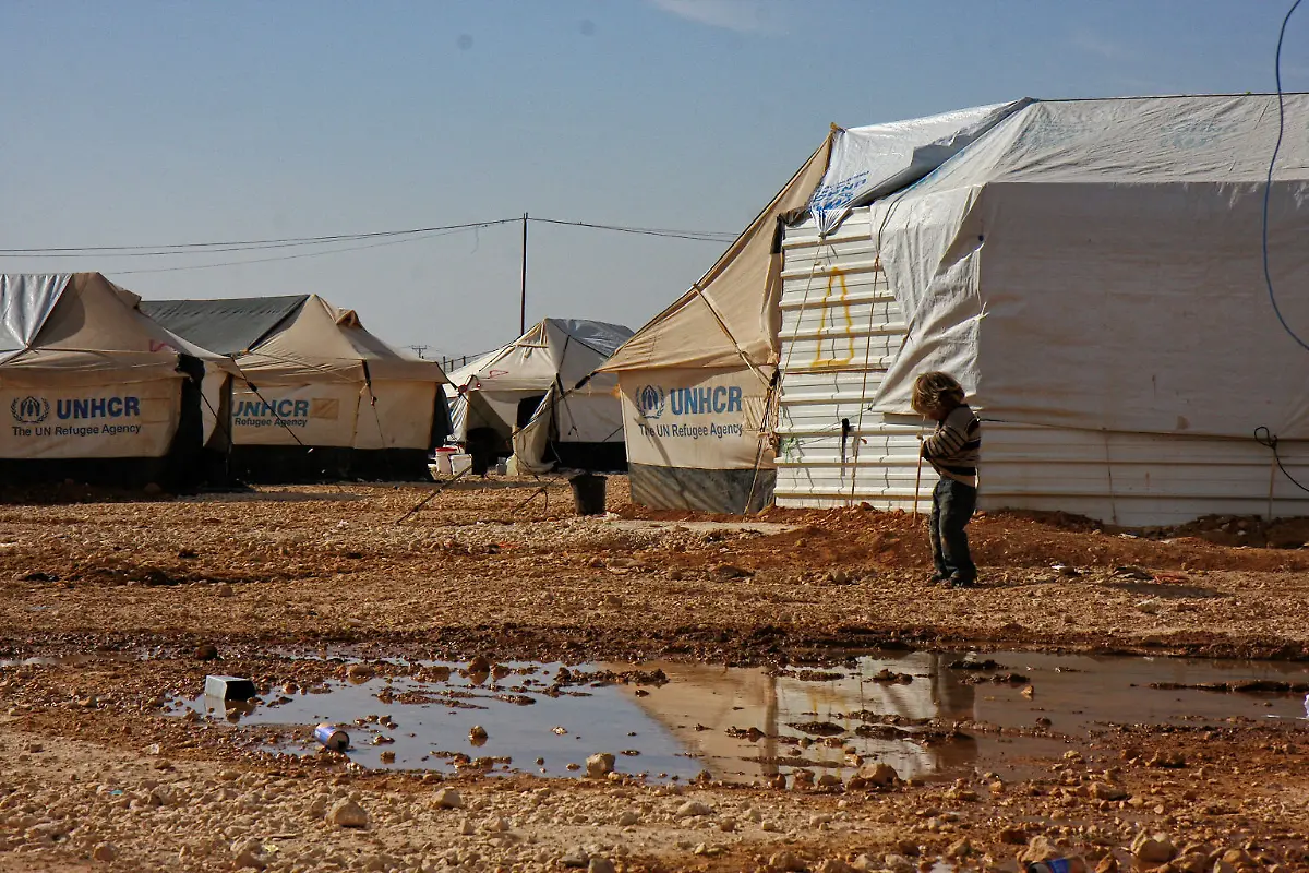 21-Credit-Nora-Schareika