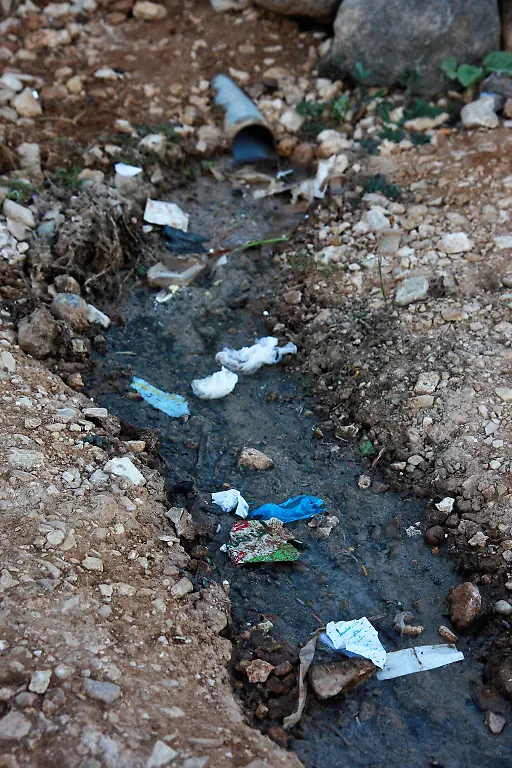 16-Credit-Nora-Schareika