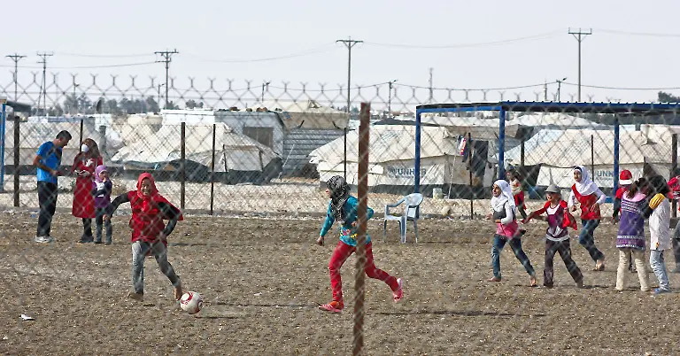 12-Credit-Nora-Schareika