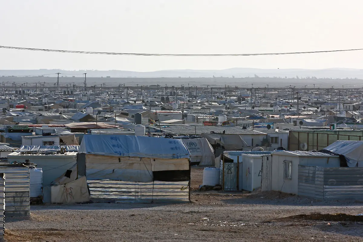 1-Credit-Nora-Schareika