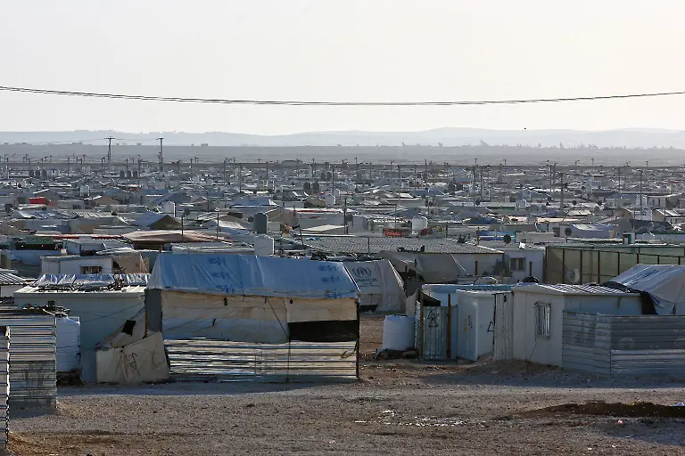 1-Credit-Nora-Schareika