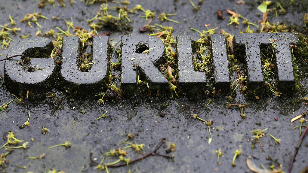 3m1m1737-jpg6236810080970450727