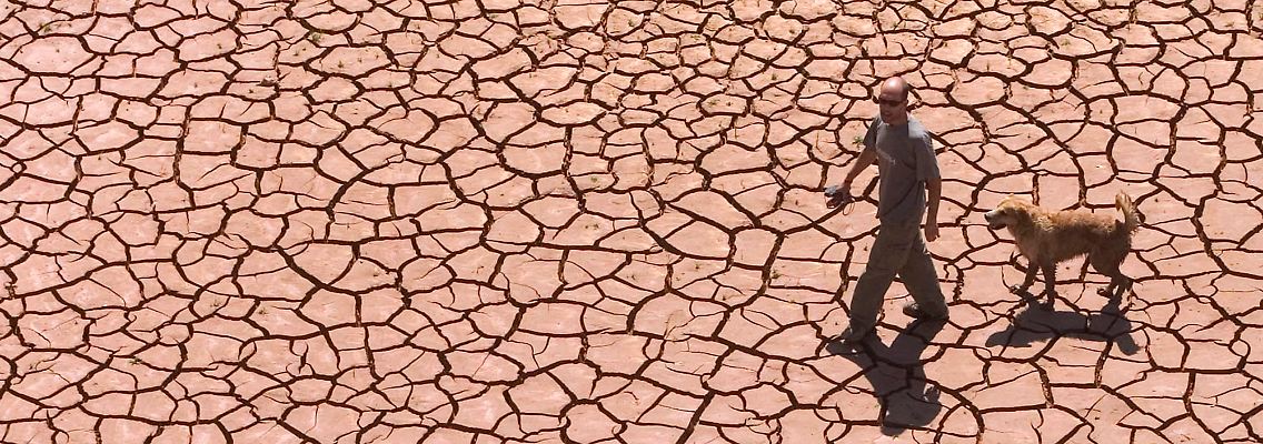 ...und Dürre: Die Folgen des Klimawandels sind hinlänglich bekannt.