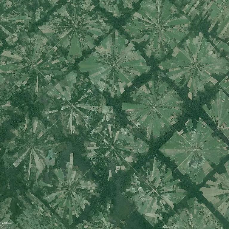 Deforestation-of-rainforest-Bolivia-km30