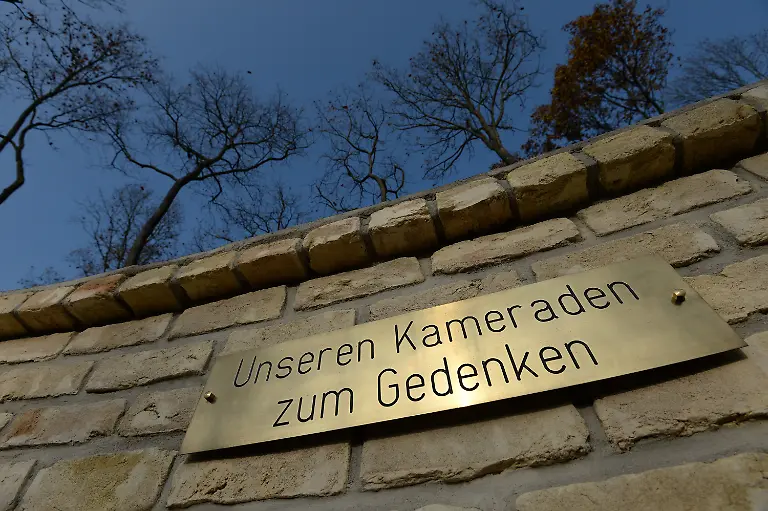 3lzq0027-jpg7314160890034019242