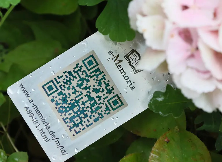 3lvh0313-jpg2638862848537812111