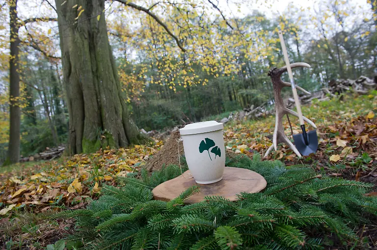 3lvh0550-jpg693319014636952778