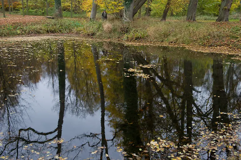 3lvh0557-jpg9201412597855380996