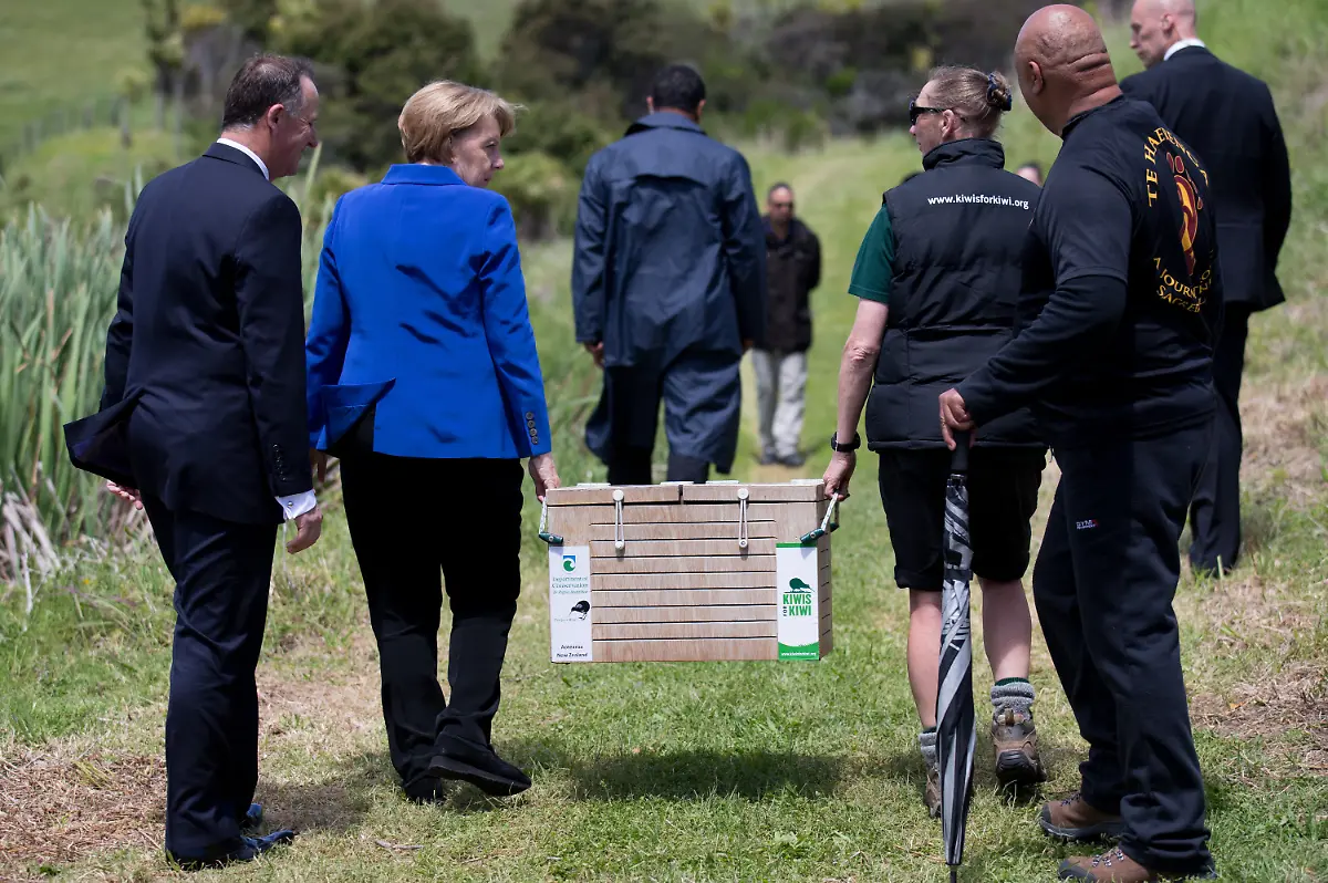 3lzg1110-jpg2336785577396872160