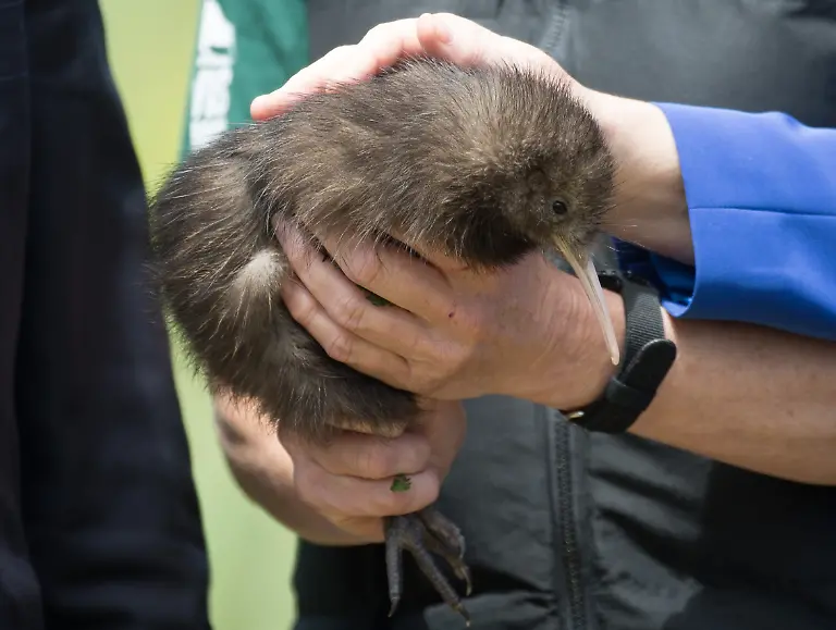 3lzg1144-jpg2001033284119054573