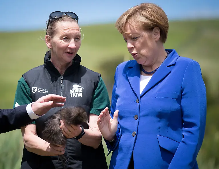 3lzg1910-jpg7902443244583749324