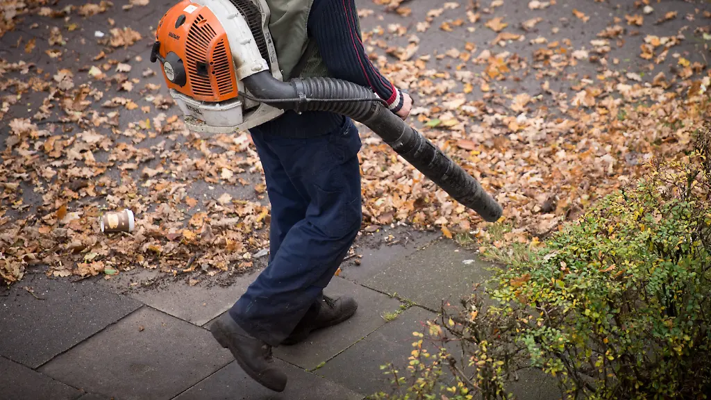 3lt01221-jpg5191415548907626187