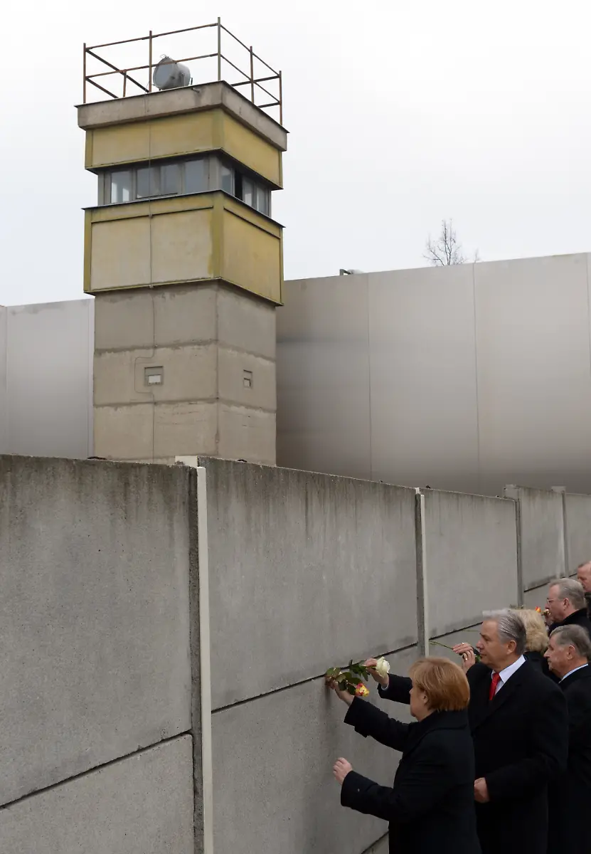 3lwa5258-jpg980464378495754807