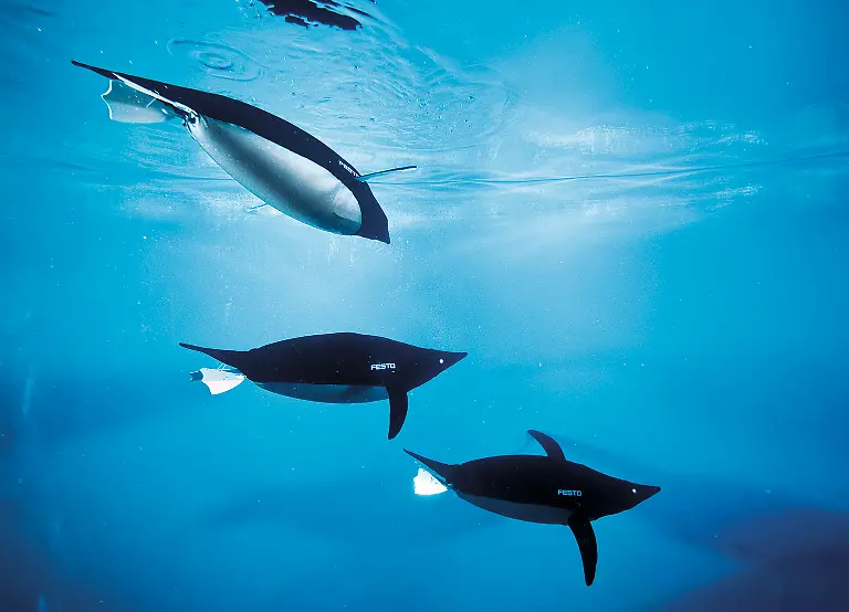 CC-08-09-AquaPenguin-2