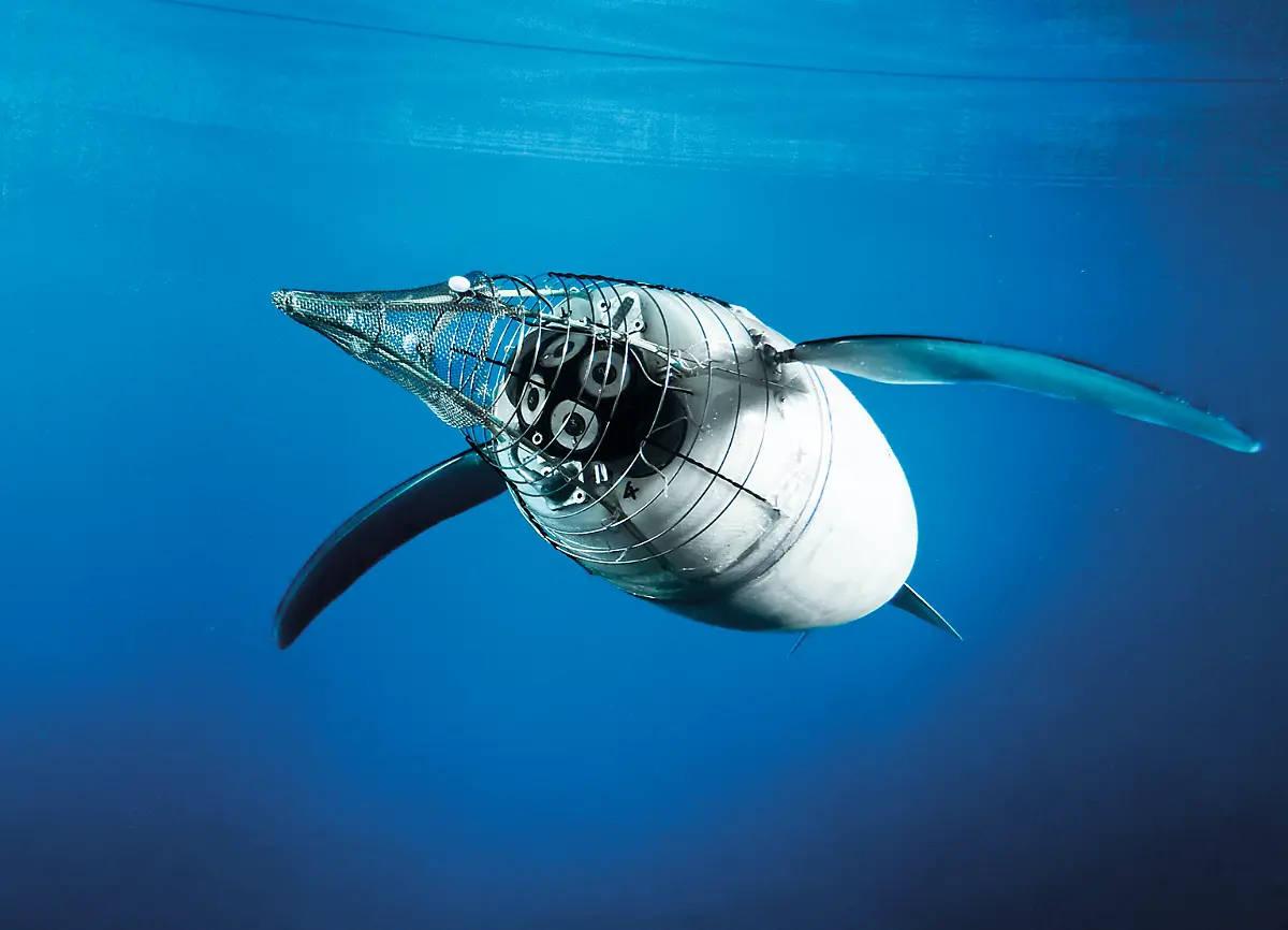 CC-08-09-AquaPenguin-4