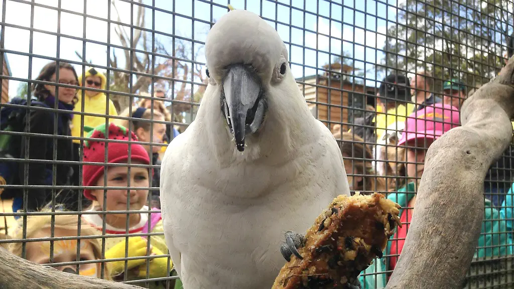 3lrk5700-jpg4234857284058029492