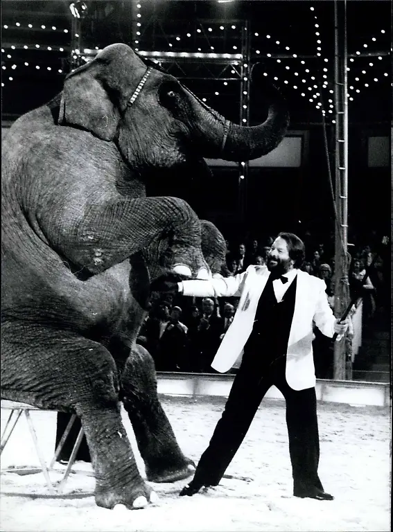 imago61889677hStars-in-Manege-76