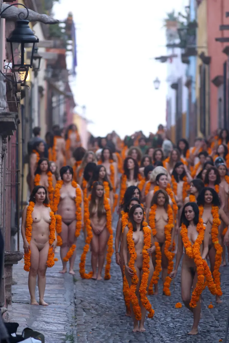 3lpw5101-jpg989115384856437292