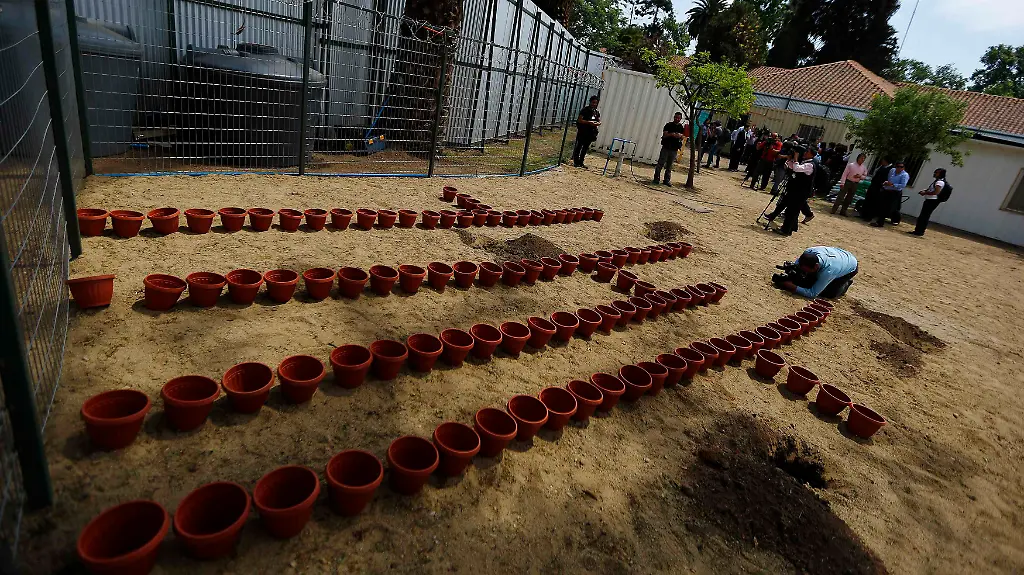 2014-10-29T192133Z-1132538887-GM1EAAU097K01-RTRMADP-3-CHILE-HEALTH-JPG3980169983702834785