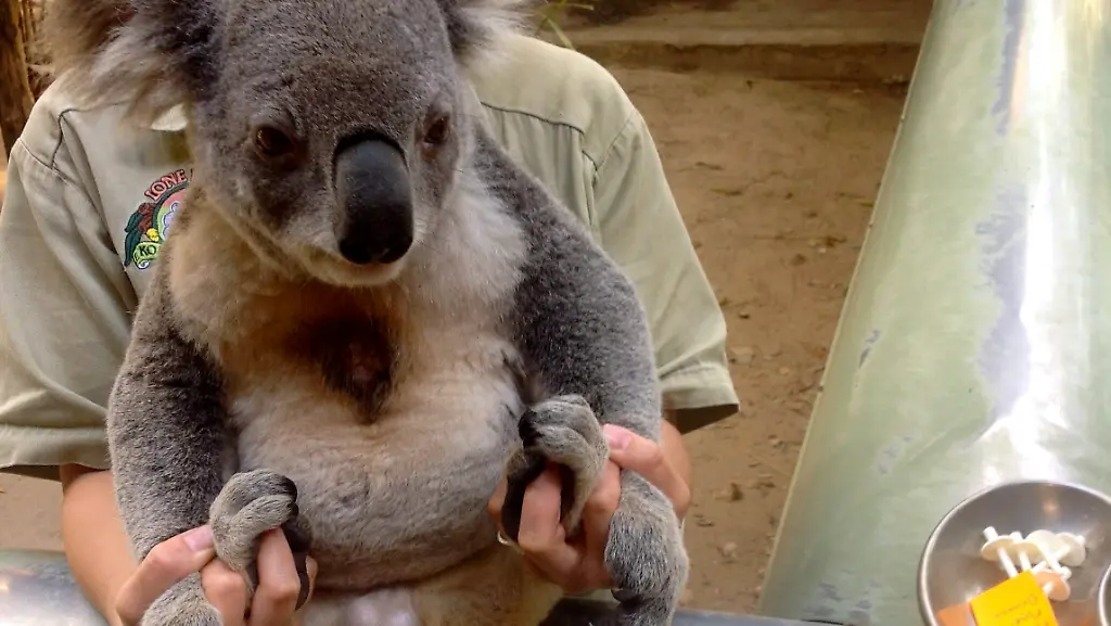 3lot4840-jpg8460539036663810562