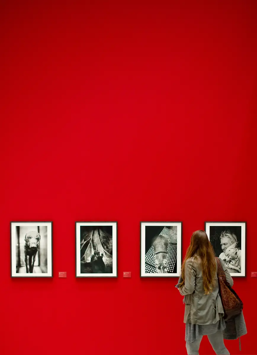 3ll72054-jpg4603437338614510417