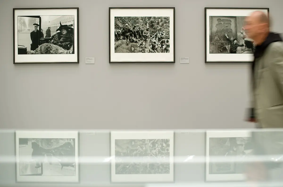 3ll50015-jpg3663337184812232741