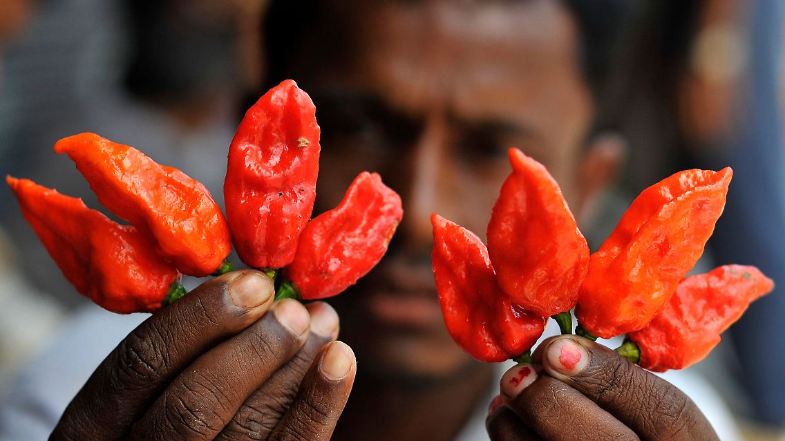 Die Regierung des indischen Bundesstaates Assam will den Anbau von Bhut Jolokia fördern, weil die Nachfrage auch in Europa steigt.