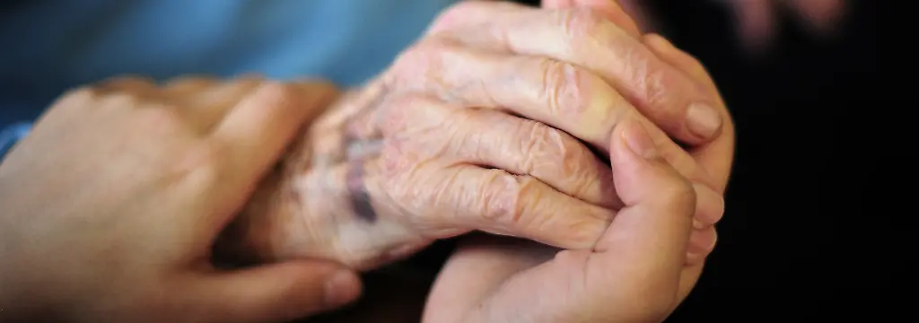 Bild zum Thema Pflegesystem