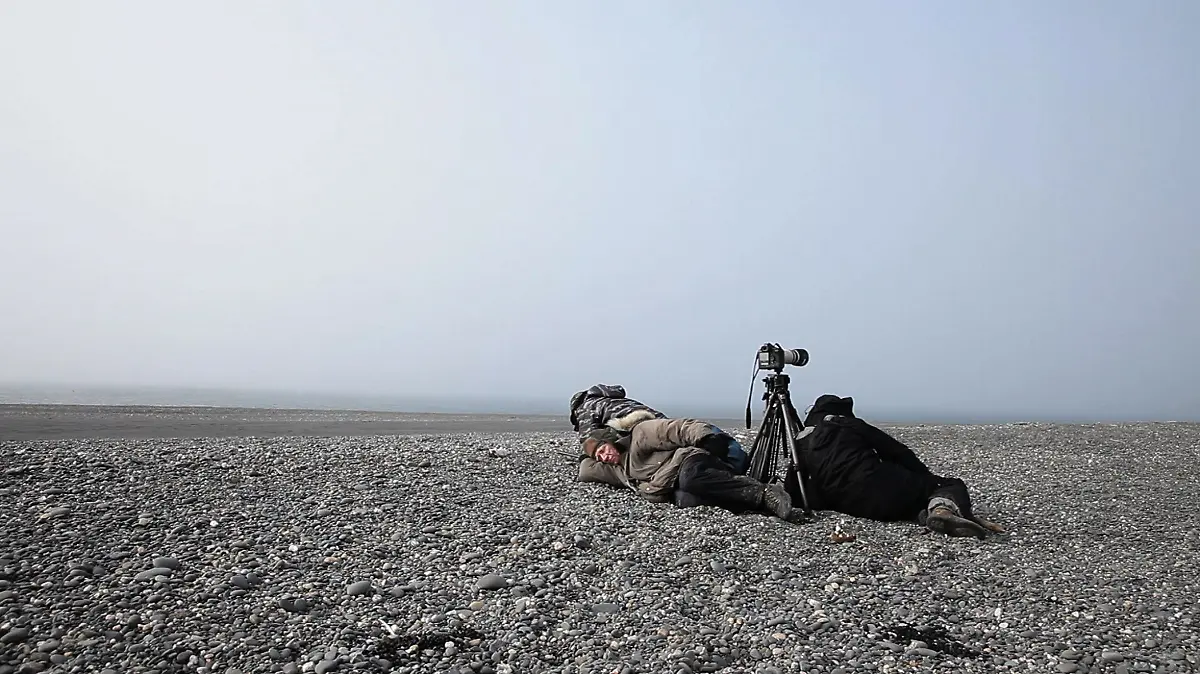 Das-Salz-der-Erde-Sebastiao-Salgado-am-Polarkreis