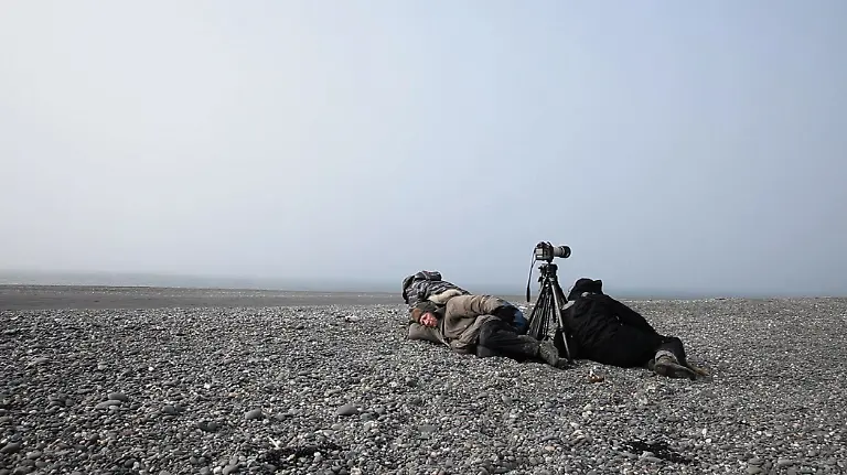 Das-Salz-der-Erde-Sebastiao-Salgado-am-Polarkreis